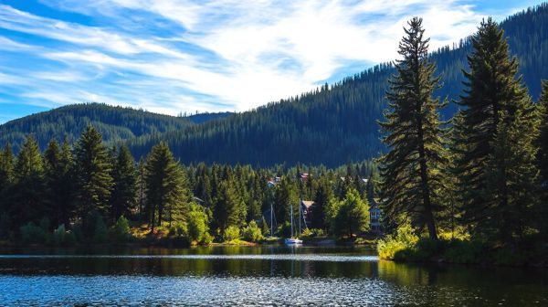 Les meilleurs courtiers immobiliers à Mont-Tremblant pour investir